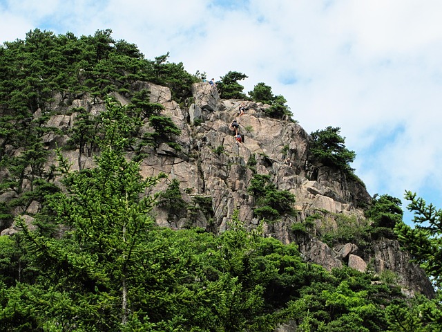 Image by lperron from Pixabay