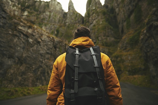 Image by Pexels from Pixabay