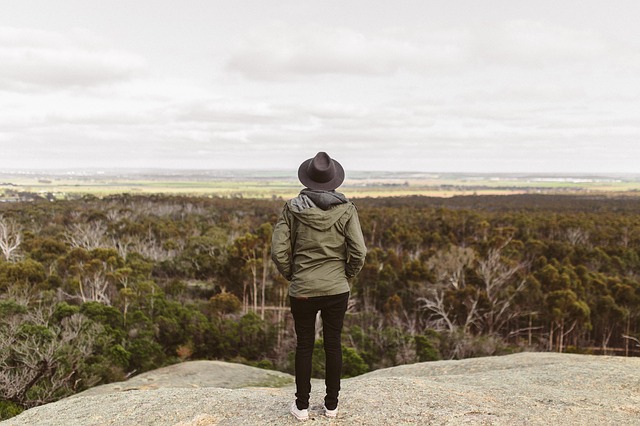Image by Pexels from Pixabay