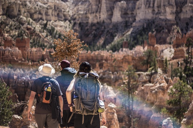 Image by Pexels from Pixabay