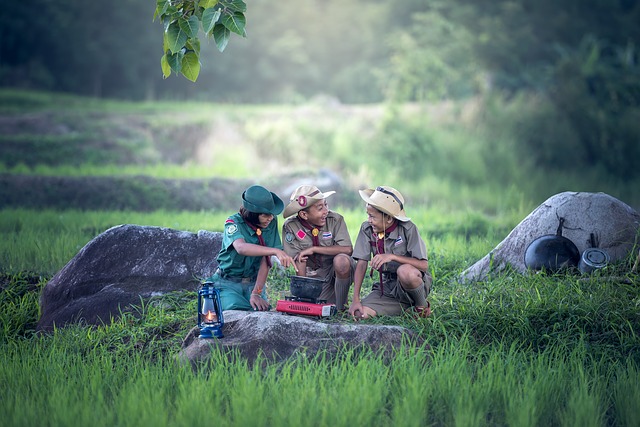 Image by Sasin Tipchai from Pixabay