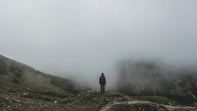 Image by Pexels from Pixabay