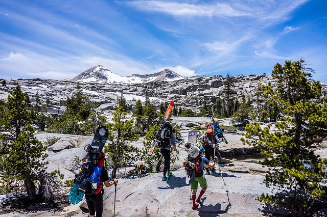 Image by Pexels from Pixabay