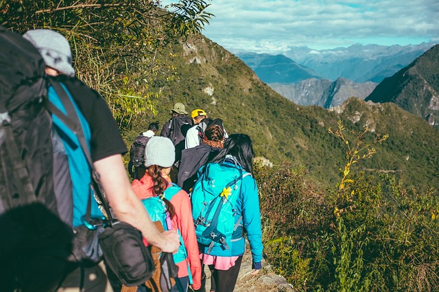 Image by Pexels from Pixabay