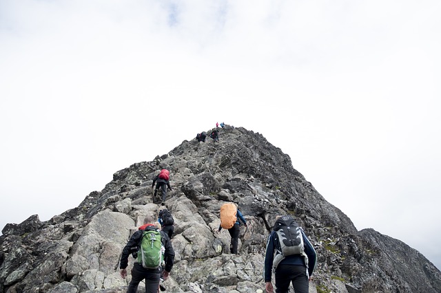 Image by Pexels from Pixabay