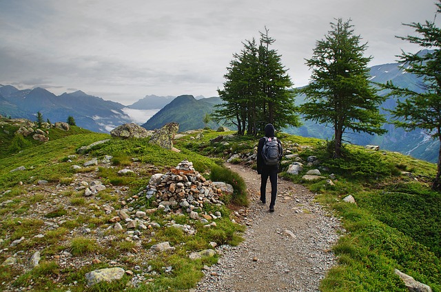 Image by Pexels from Pixabay