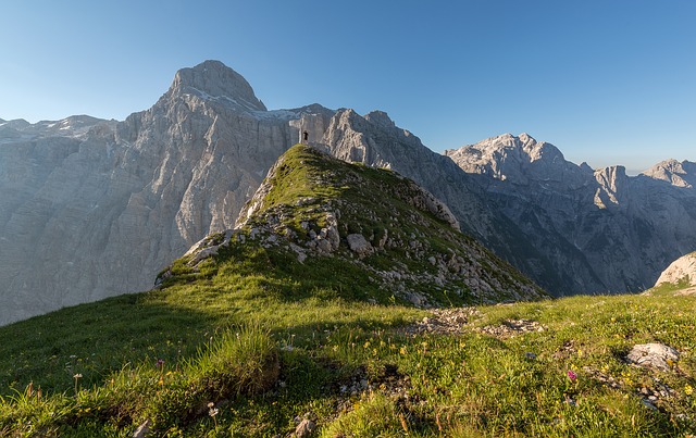 Image by Pexels from Pixabay