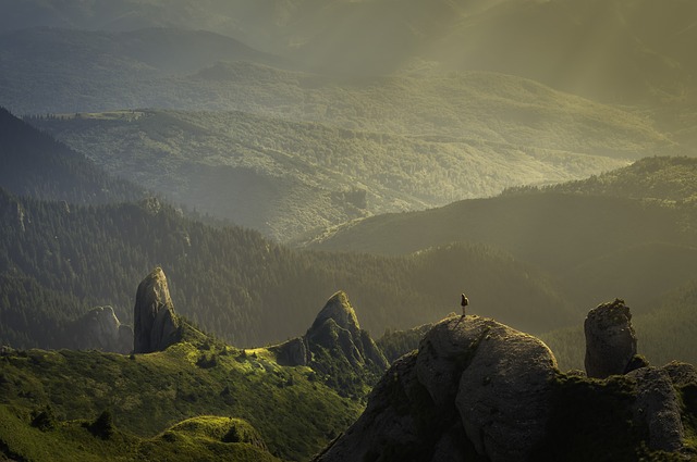 Image by Pexels from Pixabay