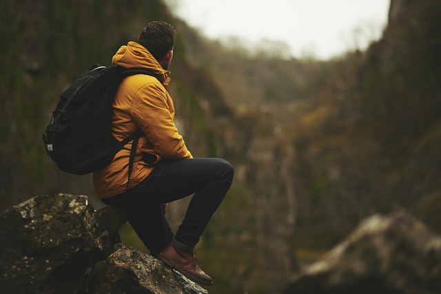 Image by Pexels from Pixabay