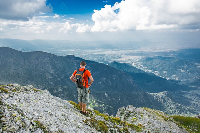 Image by Pexels from Pixabay