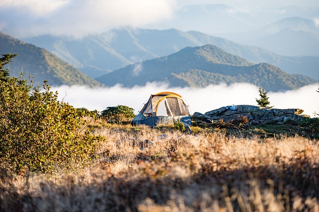 Image by Pexels from Pixabay