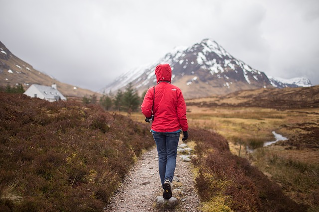 Image by Pexels from Pixabay