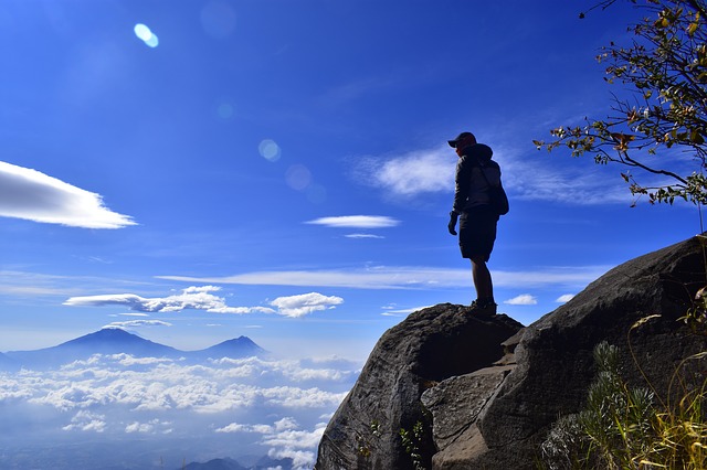 Image by Aliko Sunawang from Pixabay