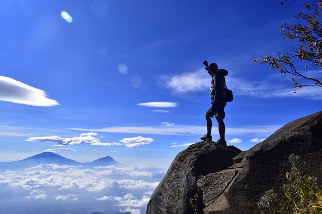 Image by Aliko Sunawang from Pixabay