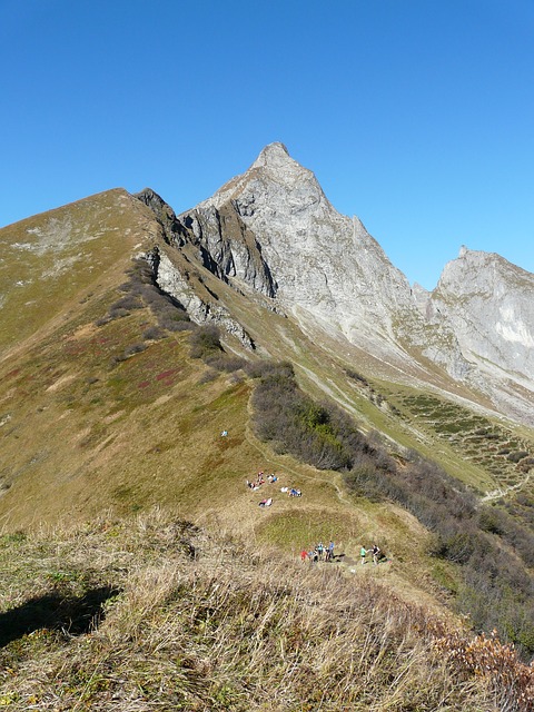 Image by Hans Braxmeier from Pixabay