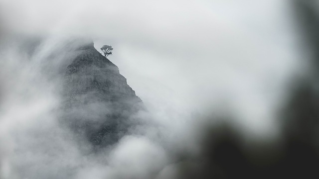 Image by Kiril Dobrev from Pixabay