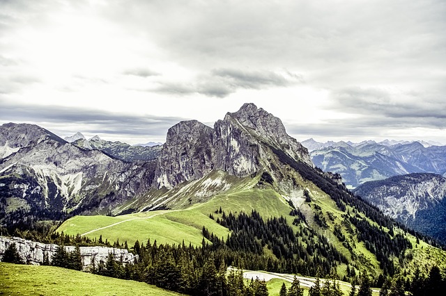 Image by Markus Spiske from Pixabay