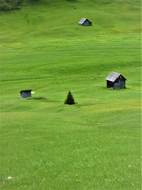 Image by JensMo from Pixabay
