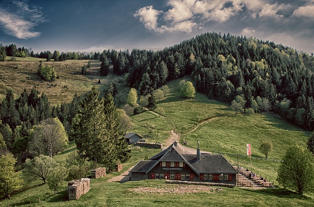 Image by Peter H from Pixabay