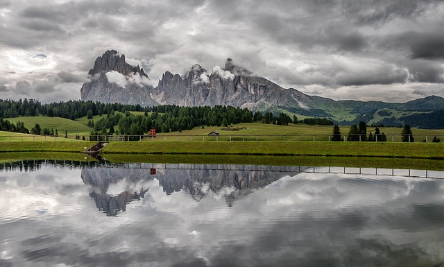 Image by Ales Krivec from Pixabay