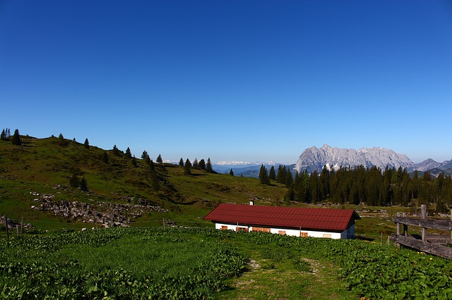 Image by Ale Bah from Pixabay