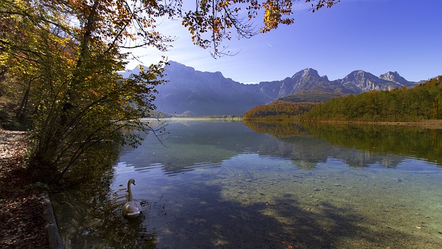 Image by Reinhold Schlager from Pixabay