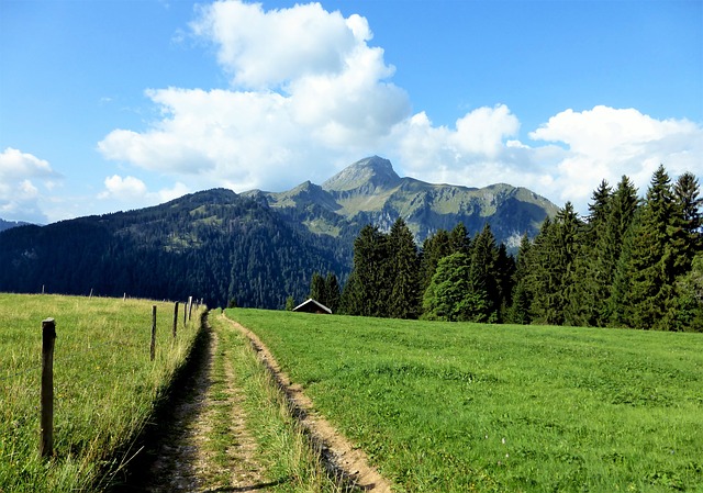 Image by RENE RAUSCHENBERGER from Pixabay