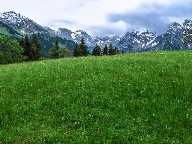 Image by Thomas B. from Pixabay