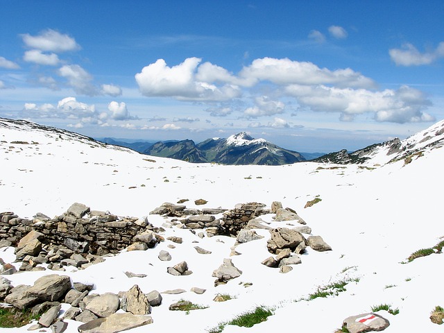 Image by Thomas B. from Pixabay