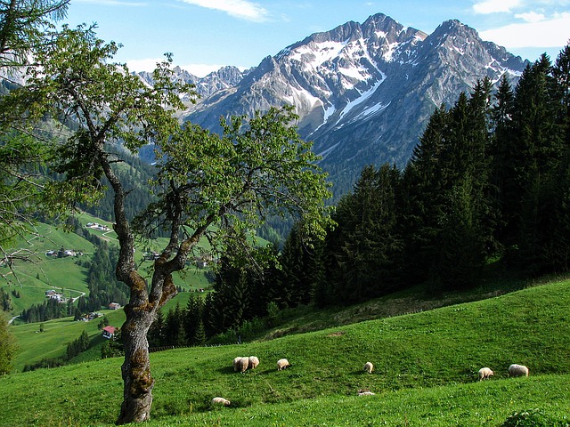 Image by Thomas B. from Pixabay