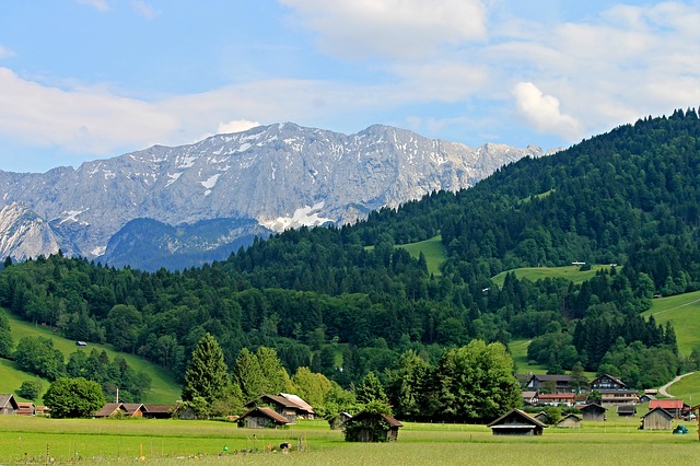 Image by Manfred Richter from Pixabay