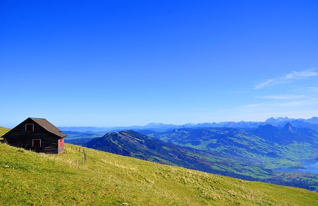 Image by Sarah Lötscher from Pixabay