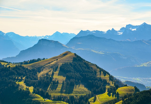 Image by Sarah Lötscher from Pixabay