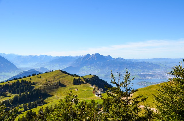 Image by Sarah Lötscher from Pixabay