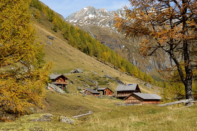 Image by Christian Peters from Pixabay