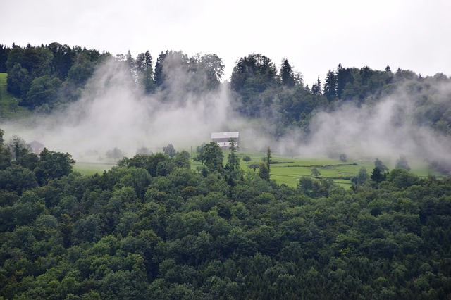 Image by Jürg Roth from Pixabay