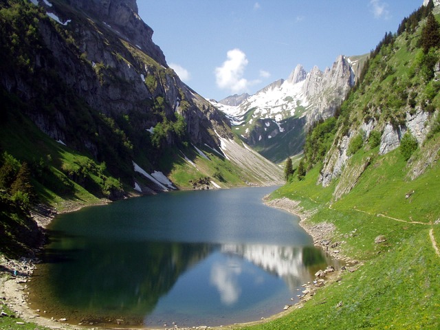Image by Simon Steinberger from Pixabay