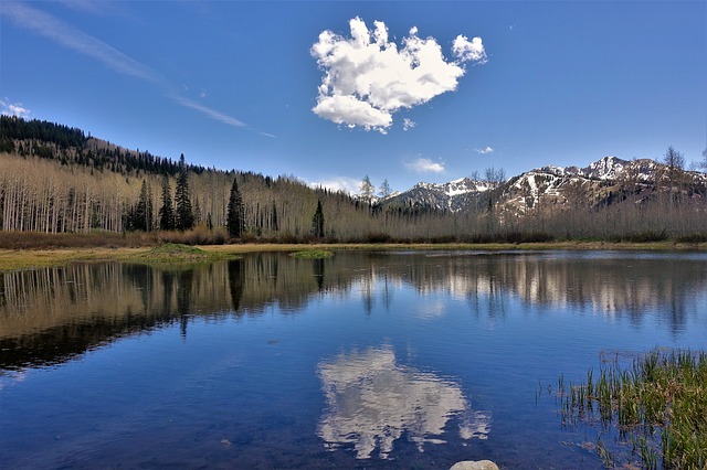 Image by GeorgeB2 from Pixabay