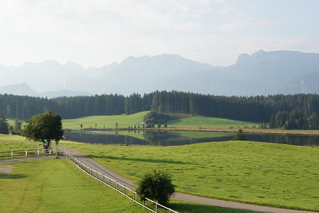 Image by TheJohnus from Pixabay