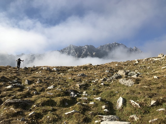 Image by Claudio Ermanni from Pixabay