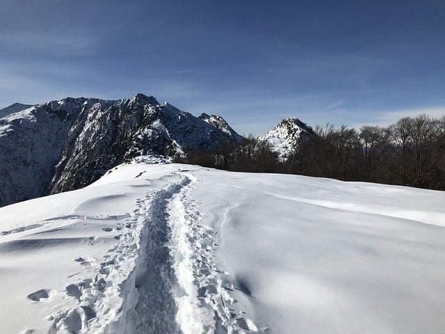 Image by Claudio Ermanni from Pixabay