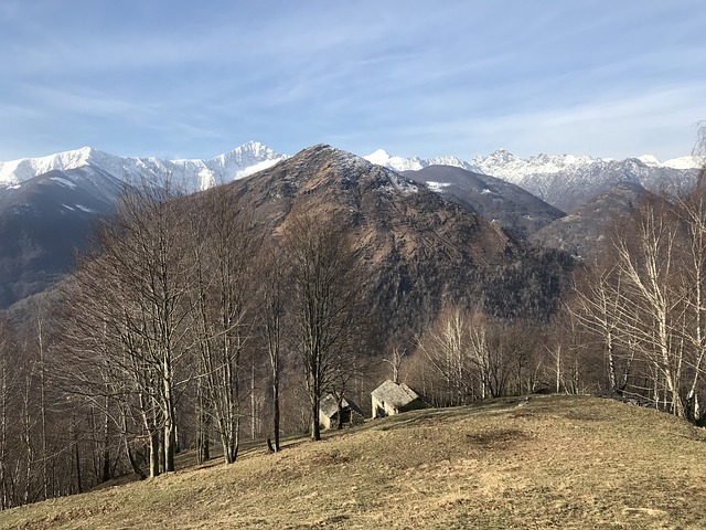 Image by Claudio Ermanni from Pixabay