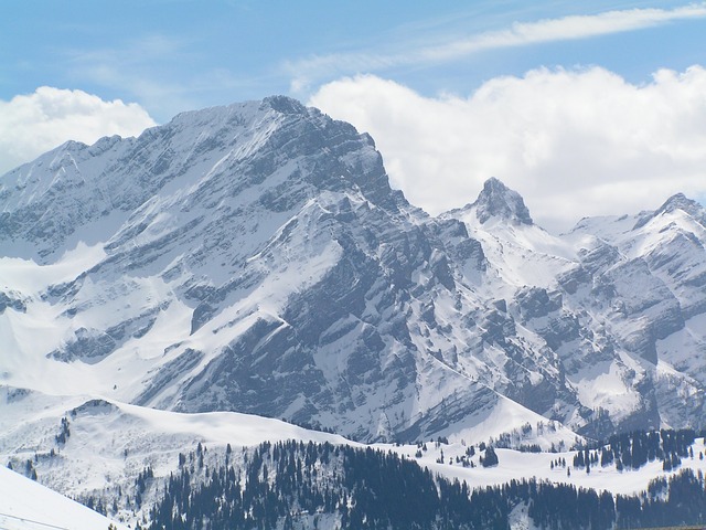 Image by DinaNEEMAN from Pixabay