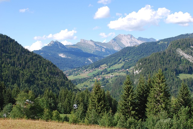 Image by Laurent Bailliet from Pixabay
