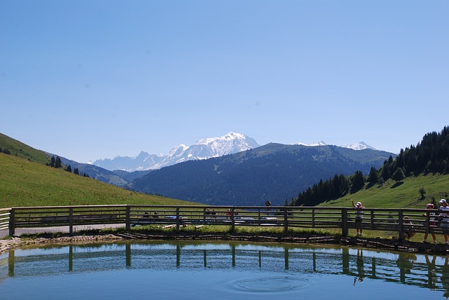 Image by Laurent Bailliet from Pixabay