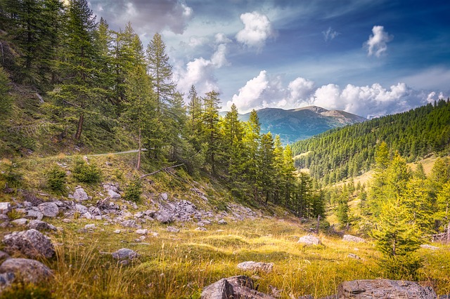 Image by ddzphoto from Pixabay