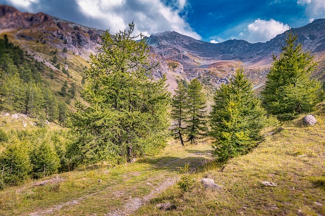 Image by ddzphoto from Pixabay