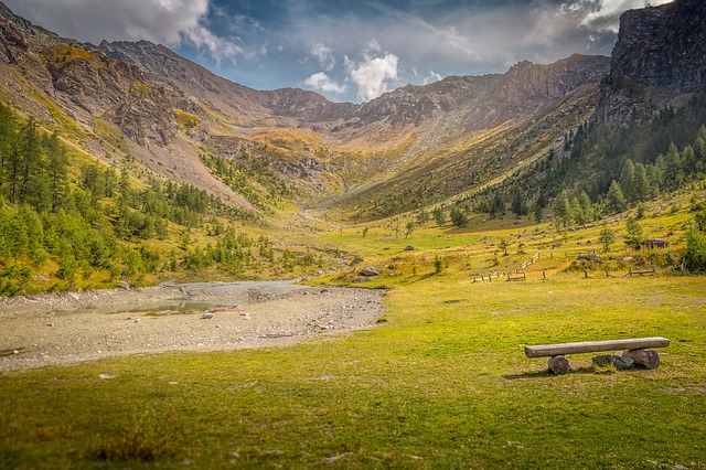 Image by ddzphoto from Pixabay