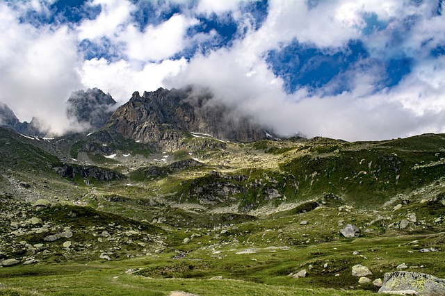 Image by Valdas Miskinis from Pixabay