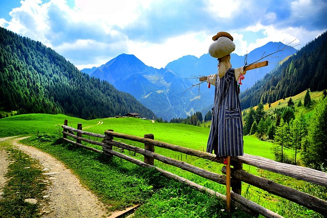 Image by Giampaolo Mastro from Pixabay